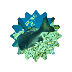 日常生活v.s.豪享吃