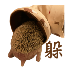 小米日常（2）-Umi亂入啦～