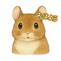 PET SEEYOUAGAIN_20251126192514