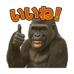 nori.t_20251126193507