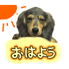 kanatim_20251126170141