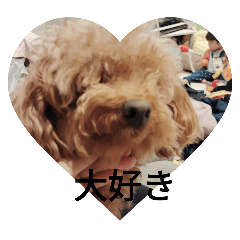 yolozz_20251126205156