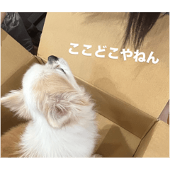 Emily_20251126204926