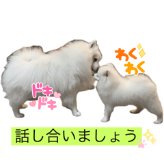 fuuta_20251127015717