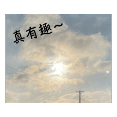 有趣的自然風景