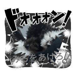 namura_20251126212305