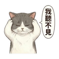 英短貓哆啦（實用