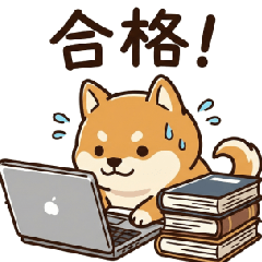 Shiba Inu preparing for IT exams