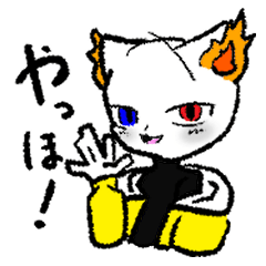 Cat chatter collection