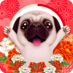 Pug New Year's Cards [Resale]