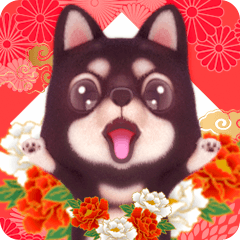 Mameshiba New Year's Cards [Resale]