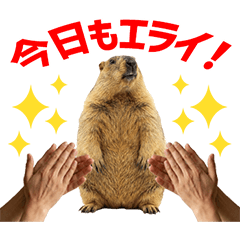 Marmot Daily Caring Stickers