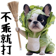 菜包法鬥的情緒日記