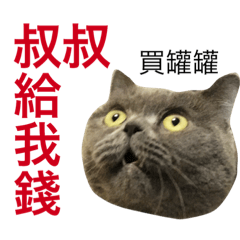 A Samoyed And A British Shorthair Line贴图 Line Store