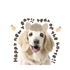 バニラちゃん♡SEASON2026