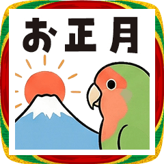 かわいいコザクラインコ お正月