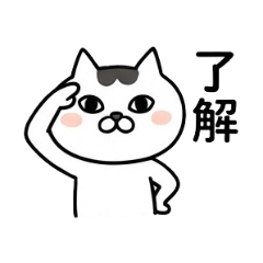 Riku the Cool Cat's Daily