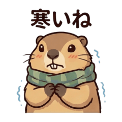 [冬]あたたかいマーモット