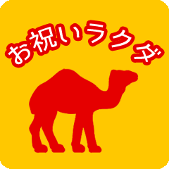 Celebrate Camel