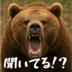 World Bears 6 Reply Edition(Japanese)