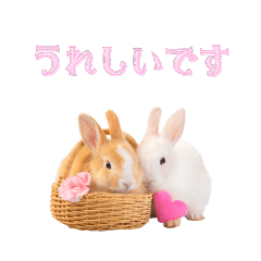 Sweet Bunny Stickers07 - LINE スタンプ | LINE STORE