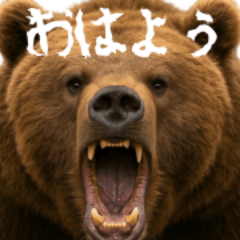 World Bears 6 Daily Edition(Japanese)
