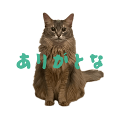 Hacha_20251126195444