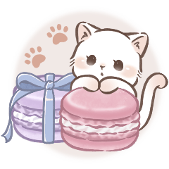 毎日使える♡大人可愛いガーリーキャット2