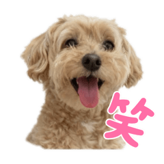 Yuka_20251126211302