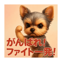 chocolate ball_20251126200038