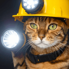 Earthquake Safety Message