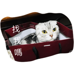 House princess two – LINE stickers | LINE STORE