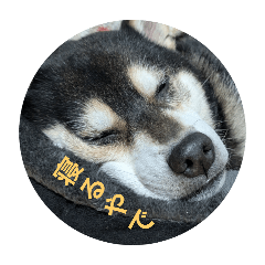 mochi_20251127074847