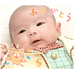 nacchi_20251127075259