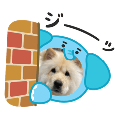 maru##