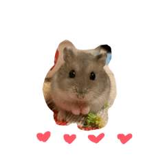 mochi_20251126214418