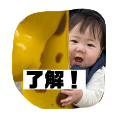 Hikari_20251127002402