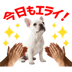 French Bulldog Daily Caring Stickers