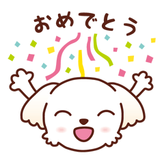 マルチーズ_モモのハッピーな毎日