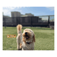 himawari_20251127121603