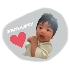 haruka_20251127111402