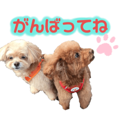 haruka_20251127110937