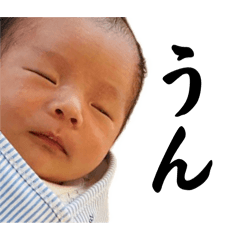 OHARU_20251127011030