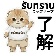 Kitten Thai-Japanese Conversation