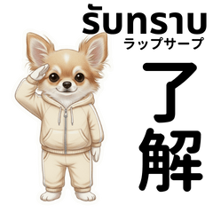 Chihuahua Dog Thai-Japanese Greetings