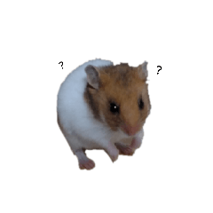 Smile_20251125184025