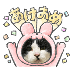 marimn1207_20251127093331