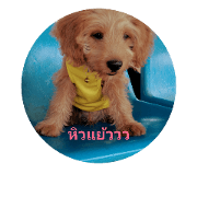 dogkai