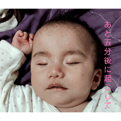 Michan_20251127125323