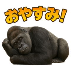 nori.t_20251125210911